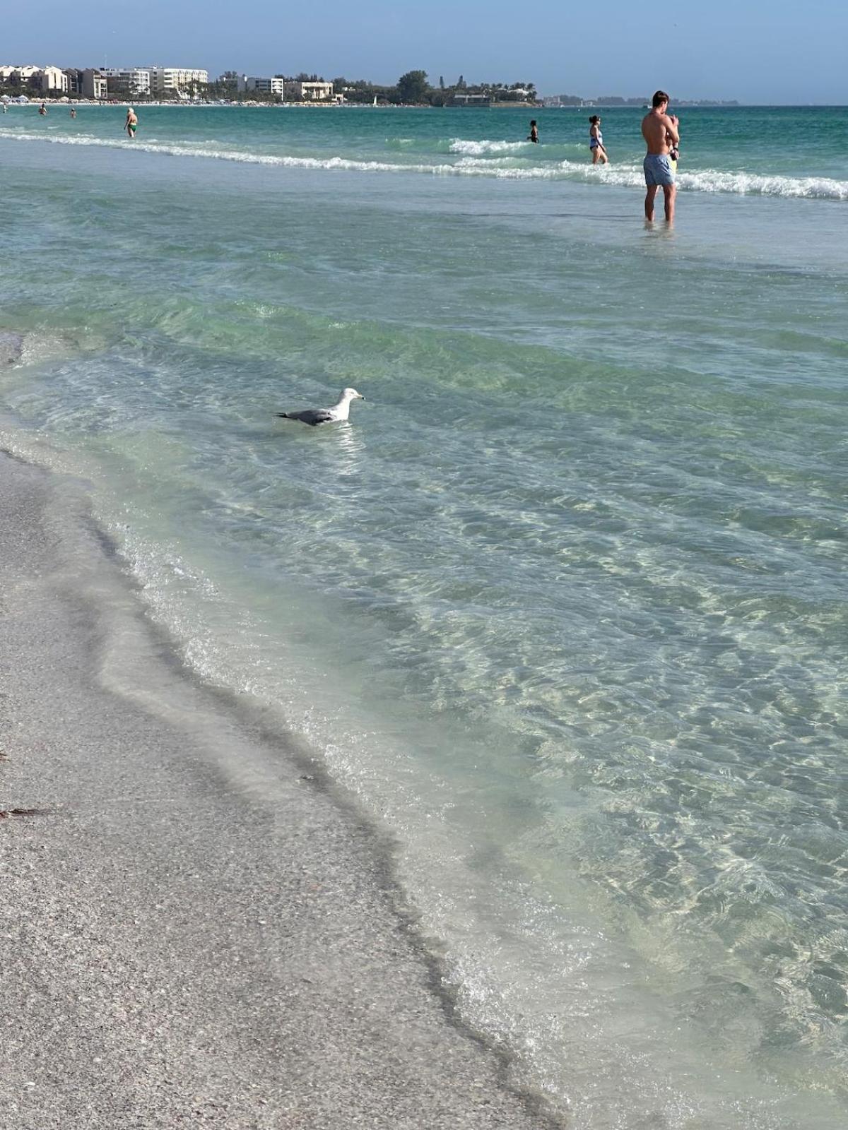 Holiday home Coastal Retreat Near Siesta Key And Downtown *