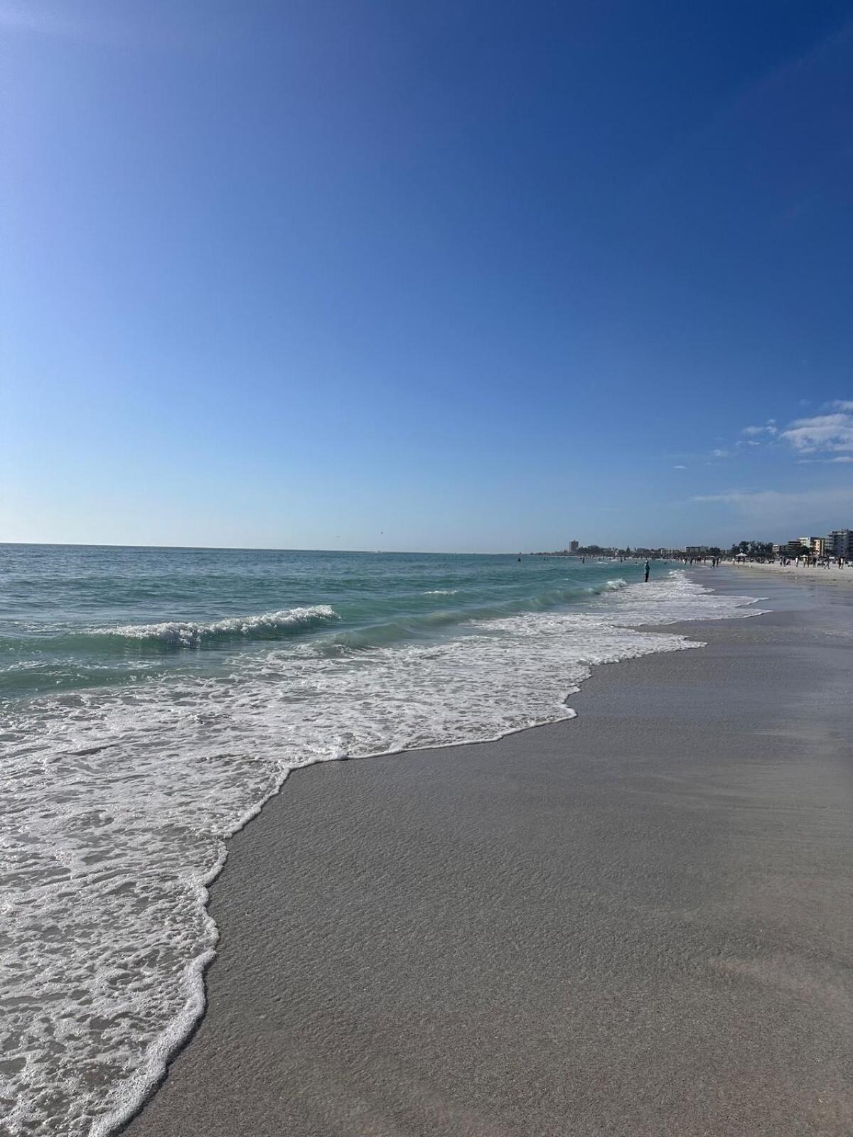 Coastal Retreat Near Siesta Key And Downtown Sarasota